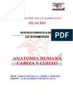 Anatomia Cabeza y Cuello