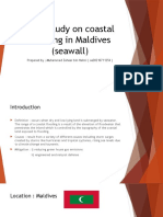 Case Study On Coastal Flooding in Maldives (Seawall) : Prepared by Muhammad Zaheer Bin Helmi (Oe20210711254)