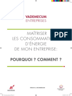 Vade Mecum Pourquoi Et Comment Entamer Une Démarche de Maîtrise de L'energie Dans Mon Entreprise