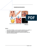Examenes Frecuentes 2023