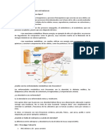 RESUMEN de ENFERMEDADES METABÓLICAS