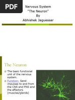 The Neuron by Abhishek Jaguessar