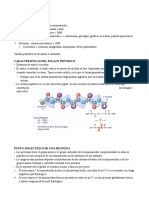 Tema 4.1 Enlace Peptidico