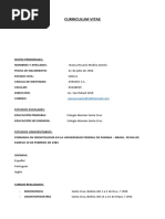 Curriculum Vitae Nancy Rosario