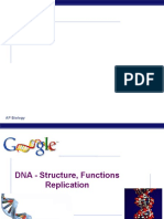 DNA Replication 2014