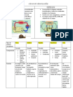 Tipos de Circulación - Cuadro