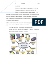 Necesidades Economicas