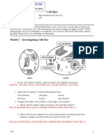 POGIL Cell Size-KEY