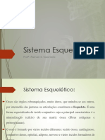 Sistema Esquelético: Profº. Ramon S. Tazoniero