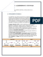 Aldehidos Y Cetonas: Informe #10