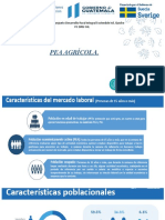 Pea Agrícola.: Programa Conjunto Desarrollo Rural Integral Sostenible Ixil, Quiche PC Dris Ixil