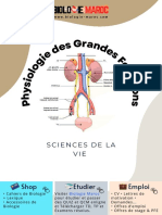 Physio GRD FCT Cours 4 Digestion