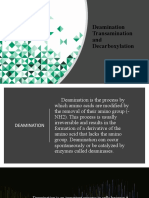 2 Deamination Transamination and Decarboxylation