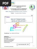 Relation Entre l'ESS Et Le Territoire