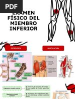 Examen Físico de Miembro Inferior