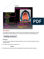 Anatomical Landmarks - Maxilla