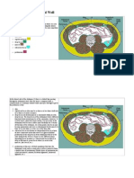 Layers of The Abdominal Wall