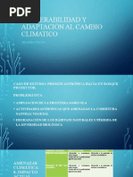 Acuerdos, Negociaciones e Instrumentos Sobre Cambio Climatico