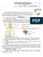 Atividade de Sistema Nervoso