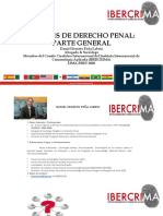 Sintesis de Derecho Penal I Parte General Ibercrima España