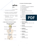 Anaphy Endocrine System