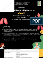 Insuficiencia Respiratoria