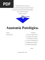 Anatomía Patológica