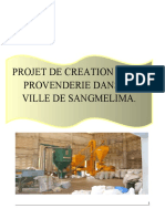 Projet de Creation D'Une Provenderie Dans La Ville de Sangmelima