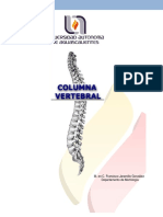 3.2 Columna Vertebral JP