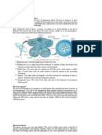 Embryology