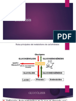 Glucolisis