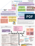 Tarea #5-Programas Del Msp-Embarazo de Riesgo