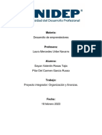 Proyecto Integrador, Organización y Finanzas