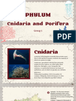 Phylum Cnidaria and Porifera Group 1