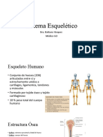 Sistema Esquelético: Dra. Bárbara Vásquez Médico GO