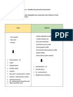 Tarea 3 - Identificación y Generación de Protocolos