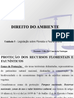 Aula Unidade 5 - Direito Do Ambiente