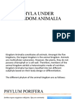 Phyla Under Kingdom Animalia