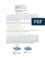 PDF Nubosidad y Precipitación