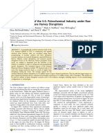 Network Modeling of The U.S. Petrochemical Industry