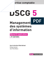 Management Des Systèmes D'information: Expertise Comptable