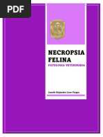 Necropsia de Gato