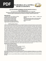 Lectio Divina Domingo Iii de Pascua Ciclo A: Animación Bíblica de La Pastoral Diócesis de Girardota