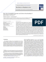 How Does Hemoglobin Generate Such Diverse Functionality of Physiological Relevance