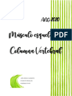 Músculo Esquelético: Columna Vertebral 2020: Jaime Venegas Valdebenito Estudiante Kinesiología Universidad Mayor