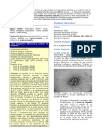 Casos Clinicos Hepatitis