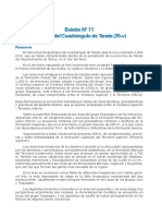 Boletín #11 Geología Del Cuadrángulo de Tarata (35-v) : Resumen