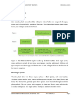 Bot 307 Comparative Plant Anatomy 1