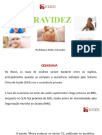 Gravidez 3