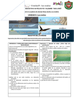 Unidad5: Las Ondas